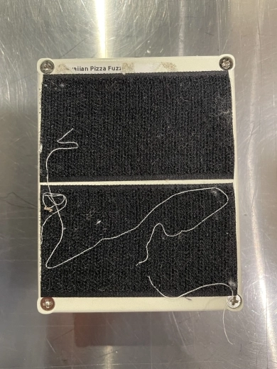 Caroline Hawaiian Pizza Fuzz 2